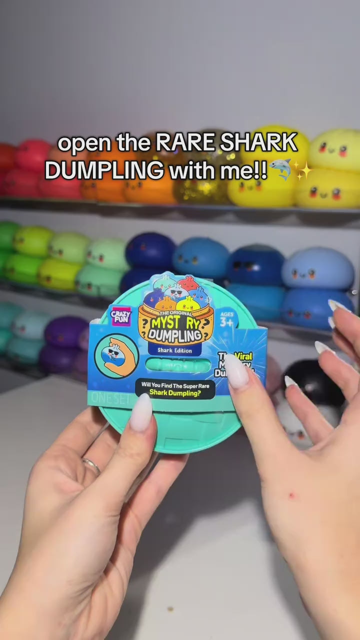 Rainbow Mystery™ Squishy Dumpling Toy – Mystery Blind Box Collectible